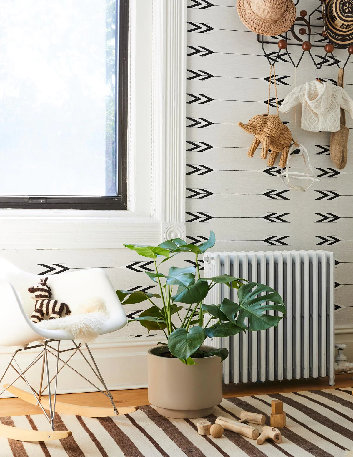 Monstera Product Picture